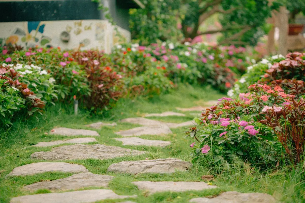 Stone paving through a landscaped garden with planted borders